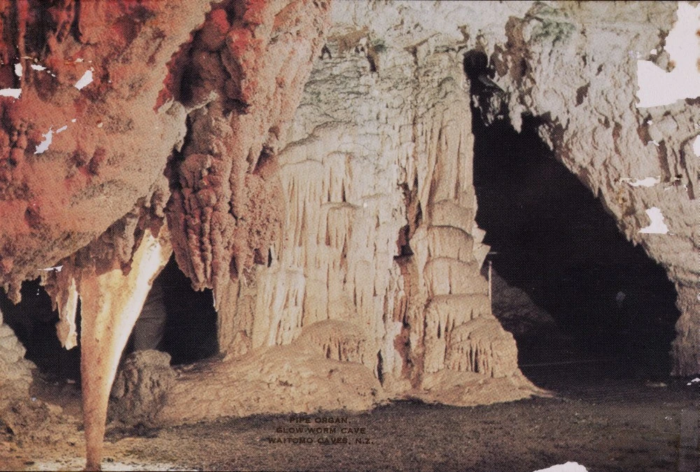 Pipe Organ, Glow-worm Cave, Waitomo Caves, N.Z.