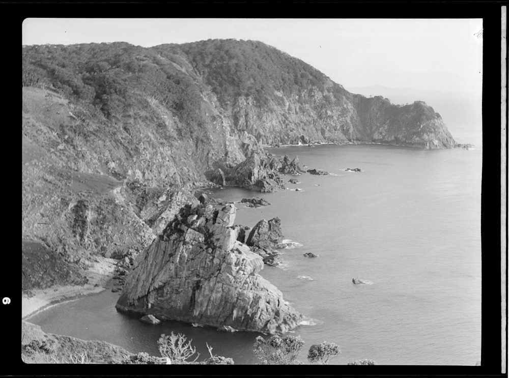 Cuvier Island
