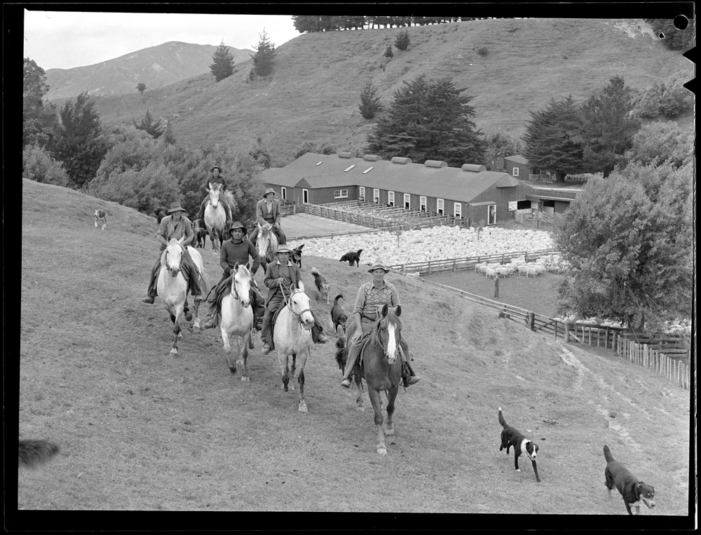 Ihungia Station, Tokomaru Bay