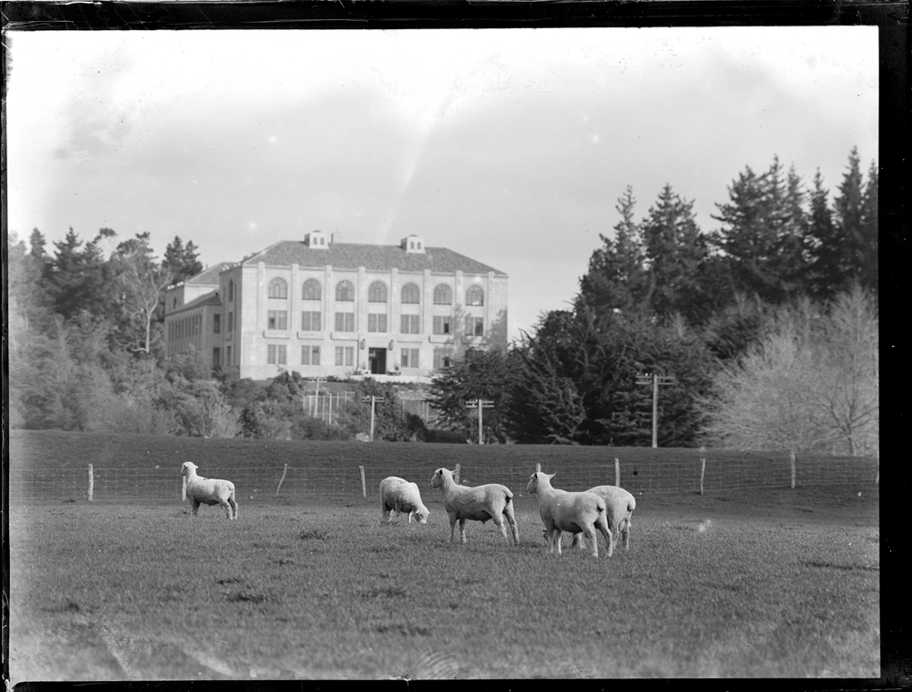 Massey College