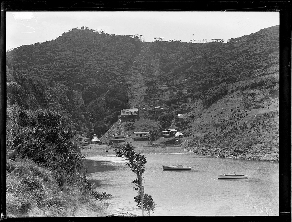 Deep Water Cove, Bay Of Islands