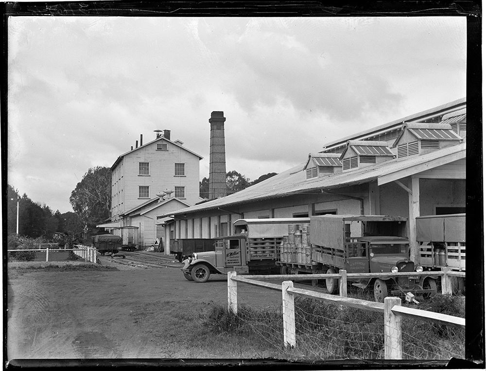 Waharoa Dairy Factory