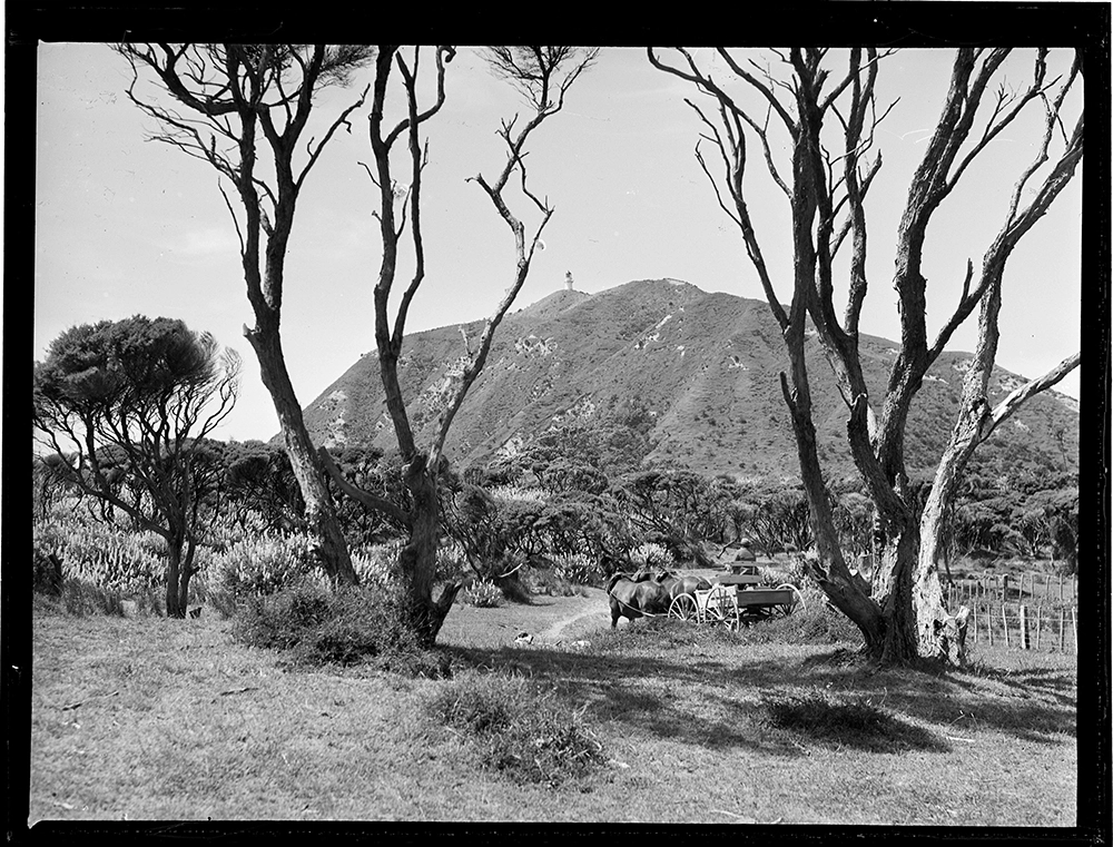 East Cape Lighthouse, 1947