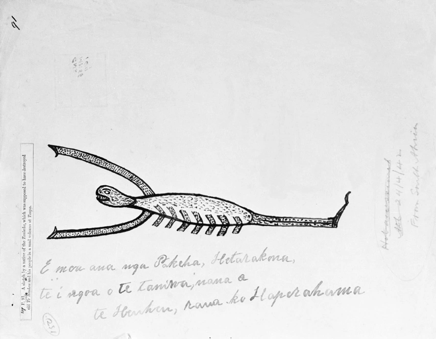 Sketch of a taniwha