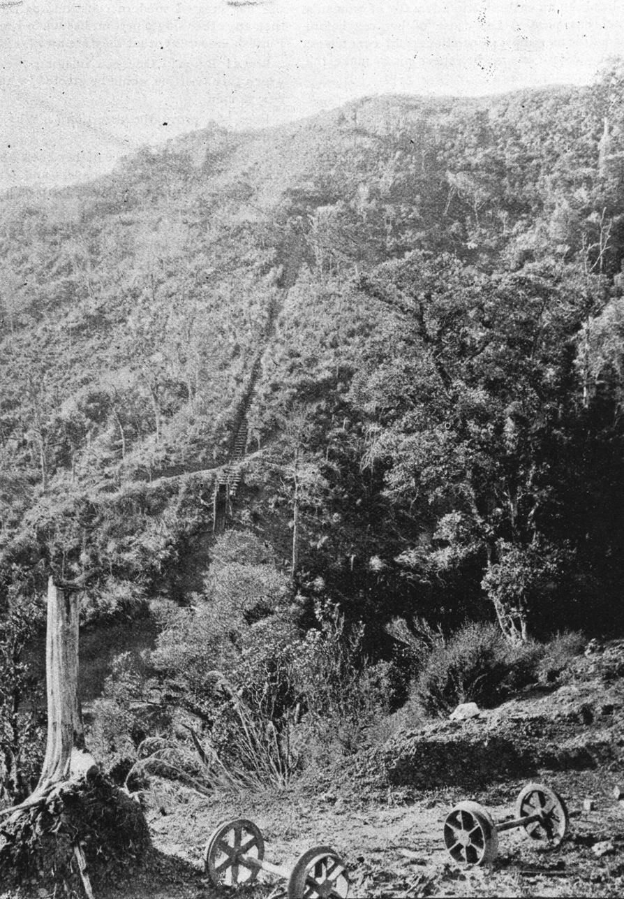 Mariposa section, Try Fluke Mine, Kuaotunu