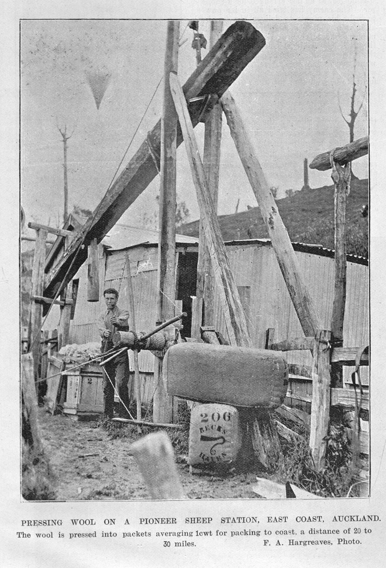 Pressing Wool on a pioneer sheep station