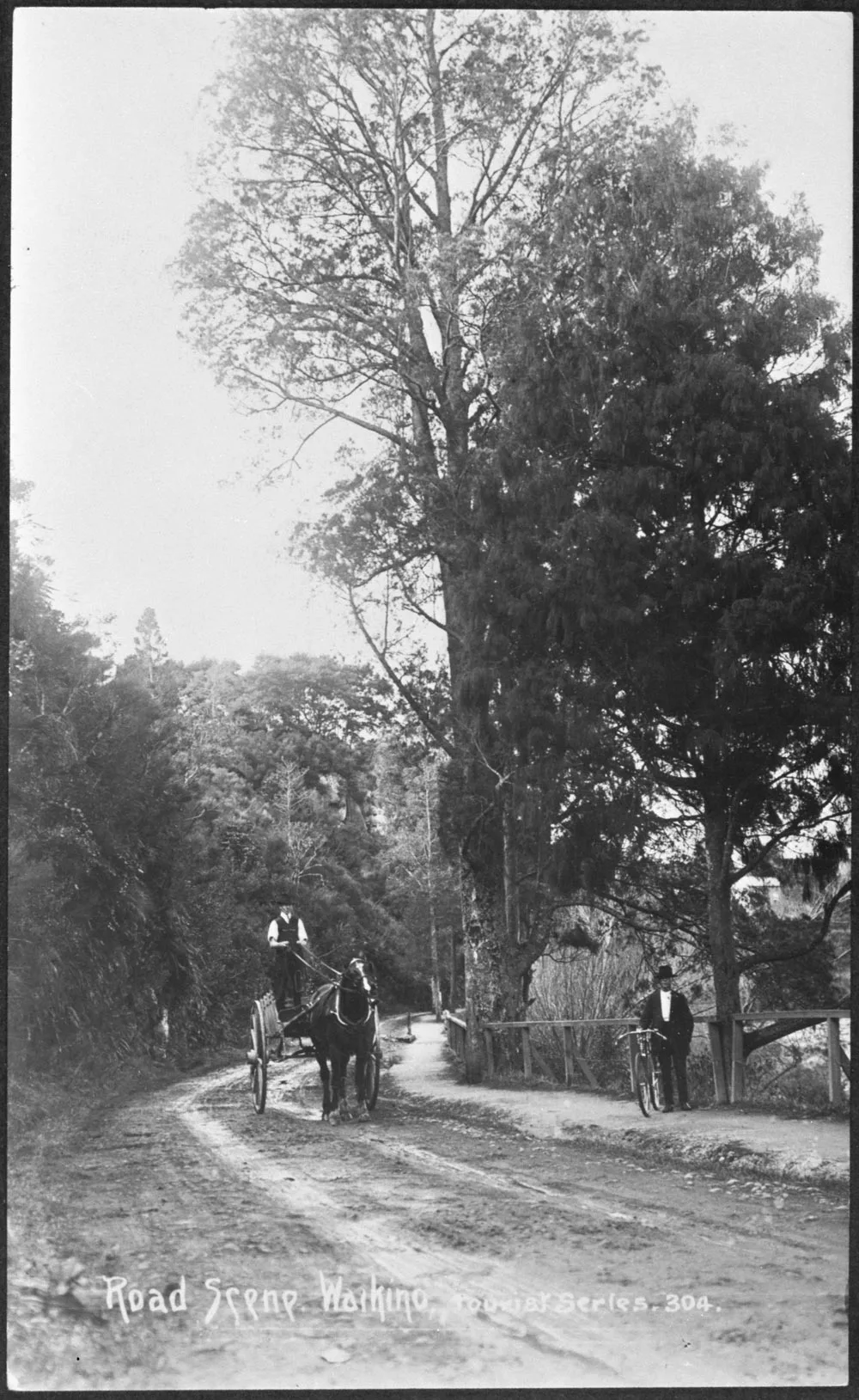 Road scene, Waikino showing horse and cart and man with a...