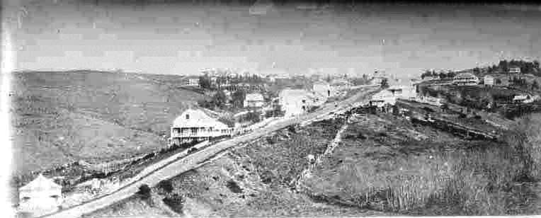 Looking south up Grafton Road showing houses and Grafton Gully....
