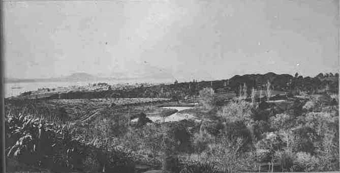 Looking northeast from Auckland Domain with Waitemata Harbour....