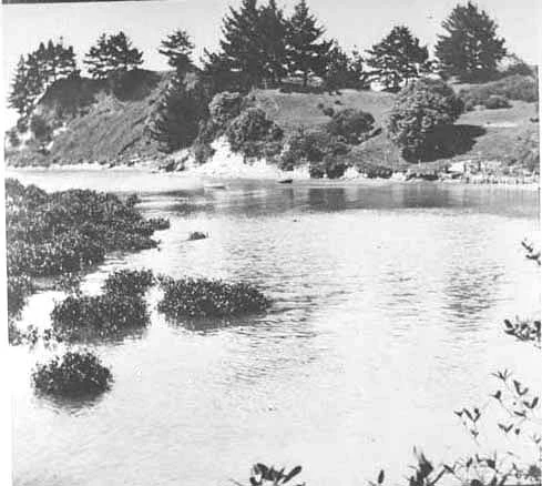 Looking south west from Blockhouse Bay beach to Te Whau Point,....