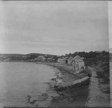 Looking east along St Heliers Bay foreshore showing a....