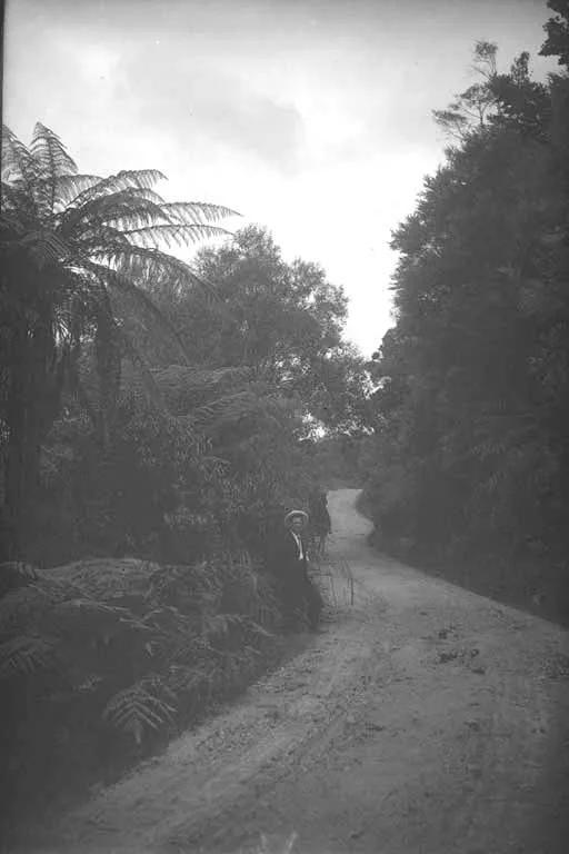 Looking along the north road, Clevedon, showing a man standing....