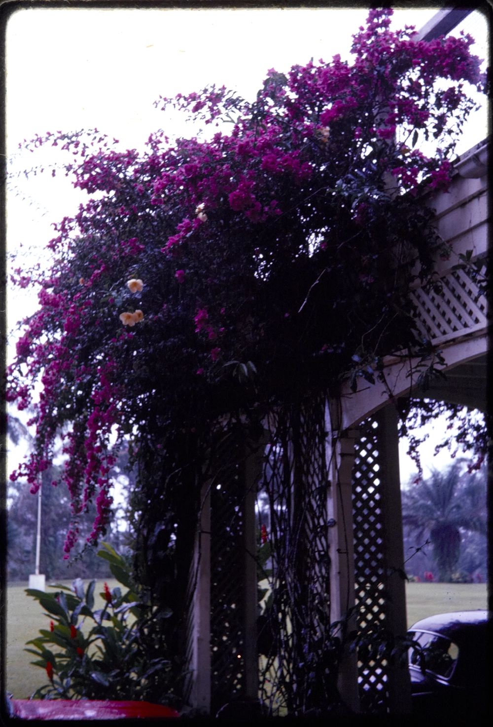 Villa Vailima