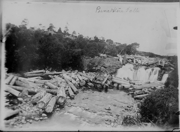 Showing a river and waterfall, possibly Punakitere Falls near....