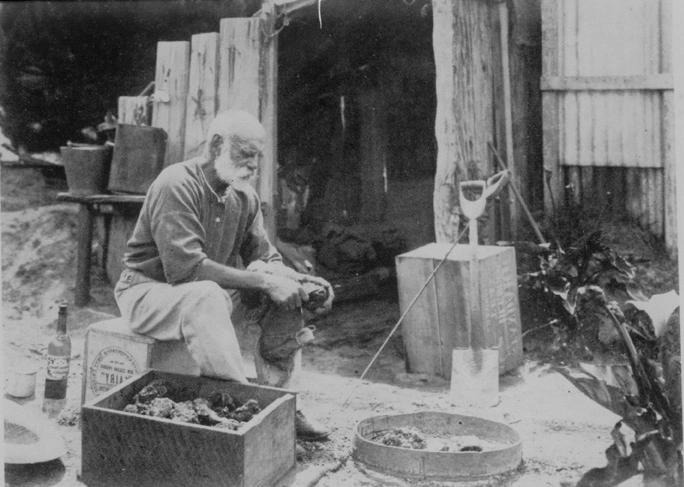 Gum digger scraping kauri gum