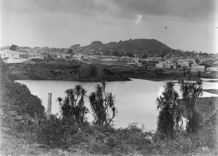 Cabbage Tree Swamp...c1909?