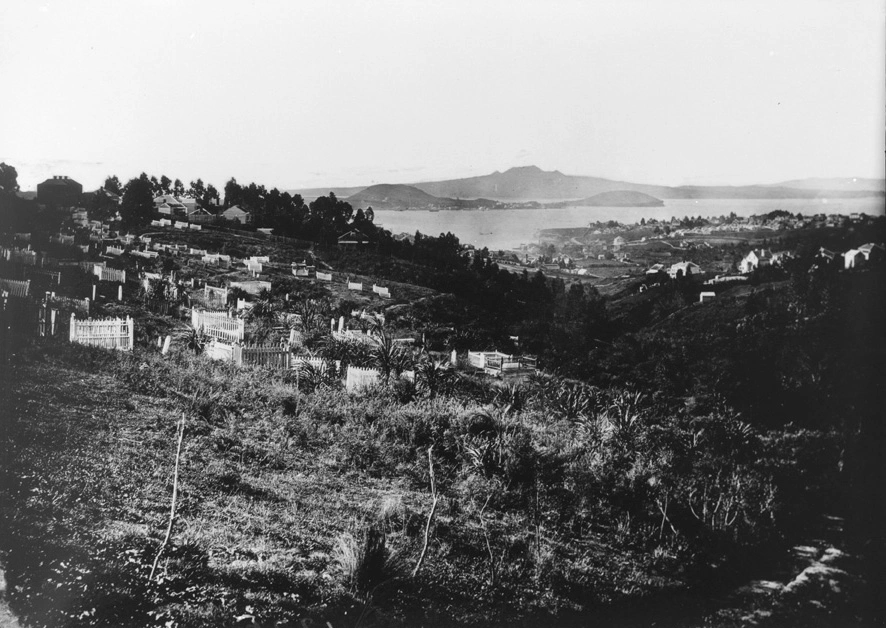 Panoramic view looking north along Grafton Gully...1868