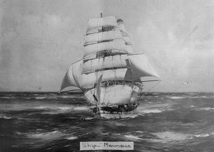 Painting by J Spurling of the 'Mermerus'