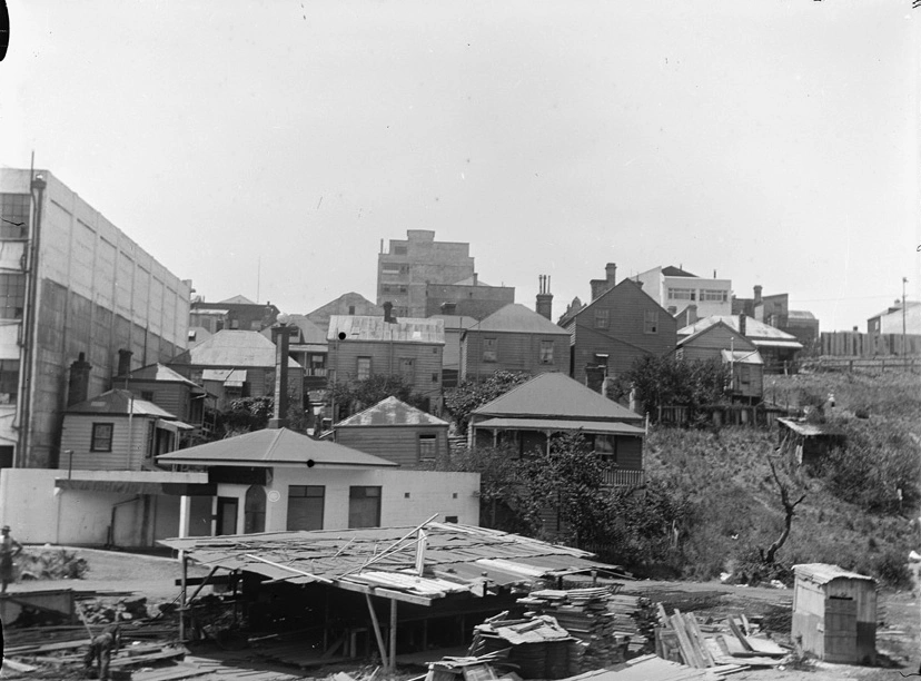 Looking north from Marmion Street...1928