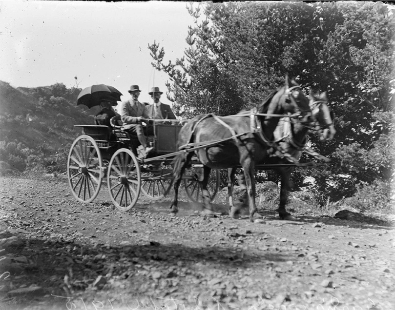 Garth's two-horse coach in vicinity of Nihotupu, 1915