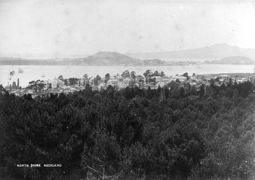 Panoramic views looking north from Auckland Domain...