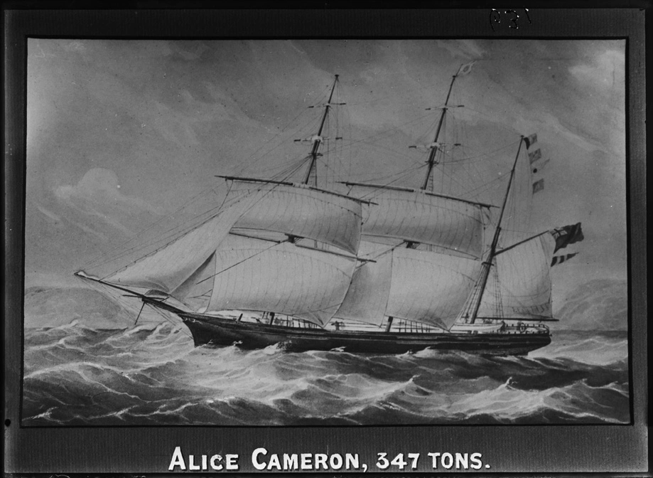 Drawing showing the sailing ship 'Alice Cameron' of the Circular Saw Line ...