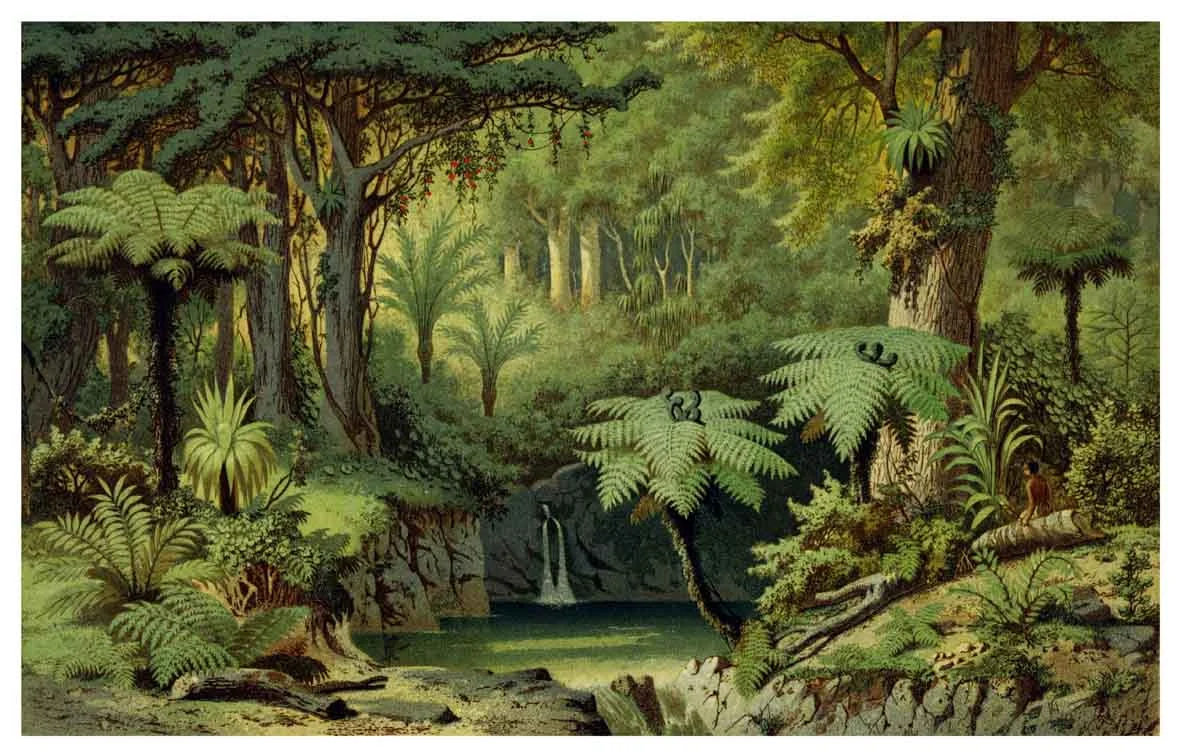 Forest in the Papakura District