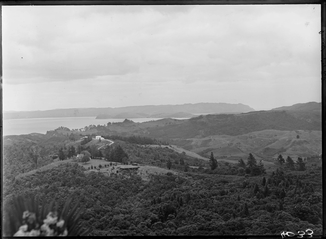 Looking south west from Rangiwai Road, Titirangi...1920