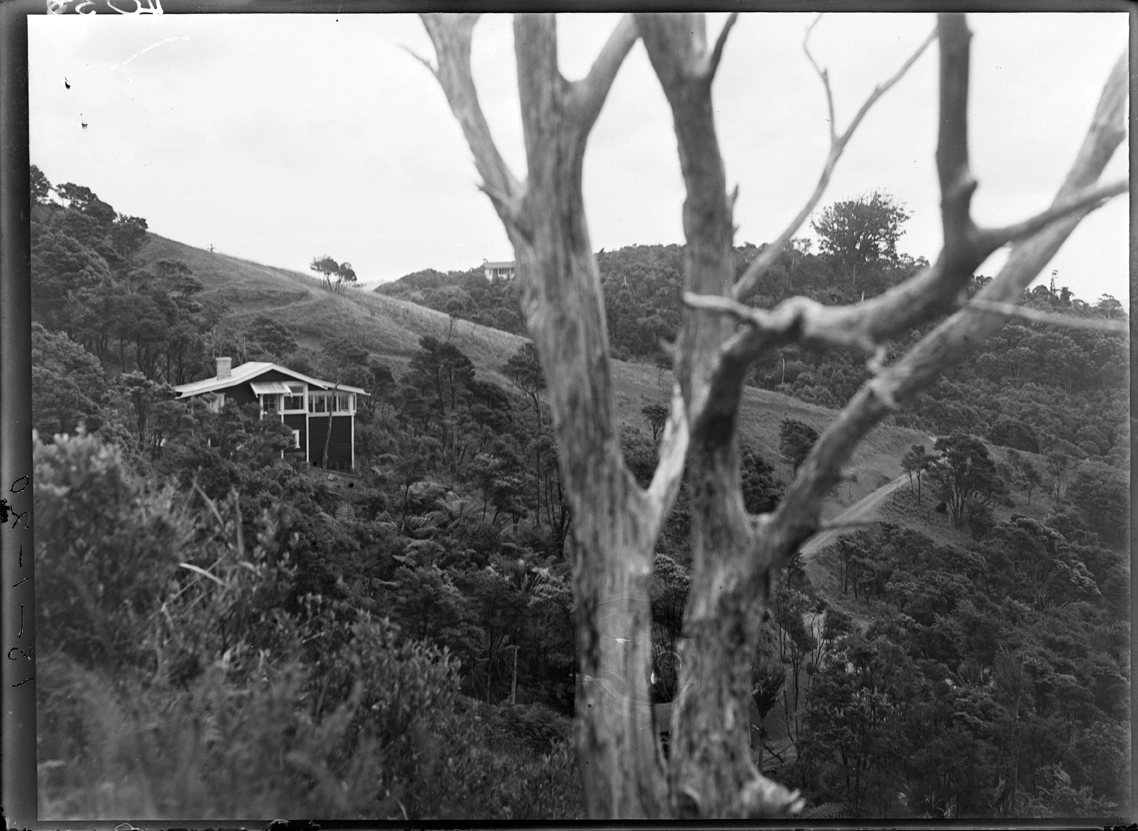 Looking north west from Mount Atkinson over Titirangi...1920