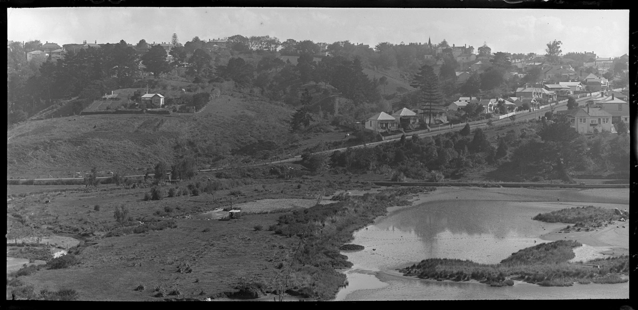 Looking north west from Burwood Crescent...1921