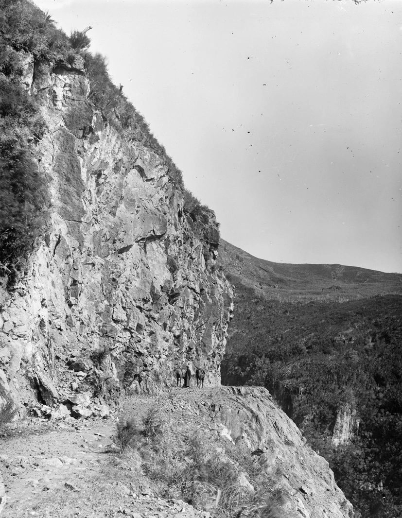 Cutting on the Gorge Road, Ohinemuri
