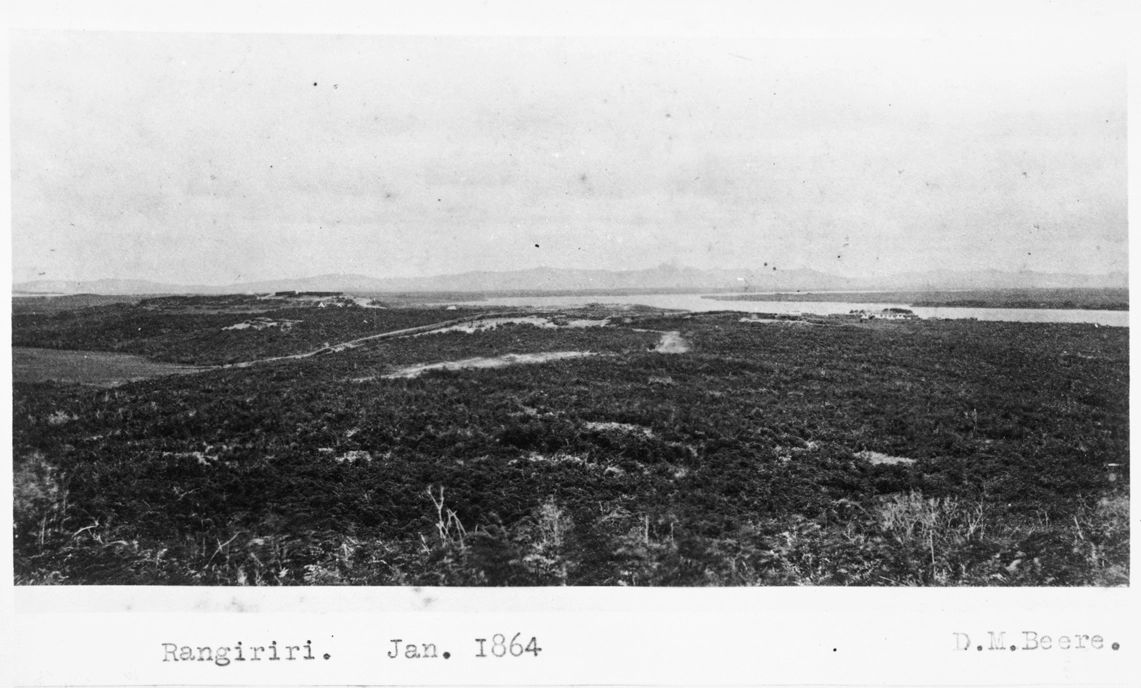 Showing Rangiriri on the Waikato River, 1864