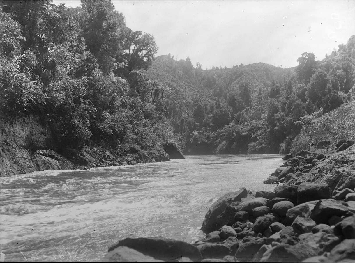 Showing views of the Wanganui River