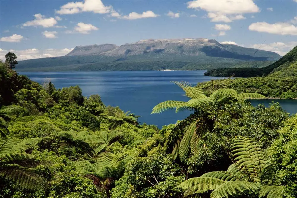 Showing Lake Tarawera with Mount Tarawera (background)