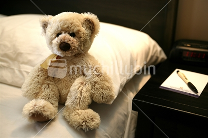 A teddy bear awaits its master at bedtime