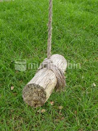 A simple kiwi swing made with rope and a piece of branch.