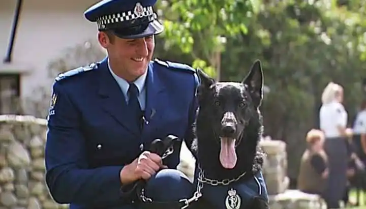 Meet the police dog academy's latest graduates
