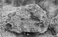 The Waitaki “Mystery” Stone