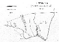 Pipitea- No 2 [Col. Mccleverty's Deed] — 1 Novr. 1847 — Orongorongo — Native Reserve — No 6