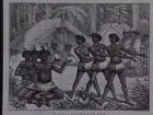 He Haka, a favourite Maori dance