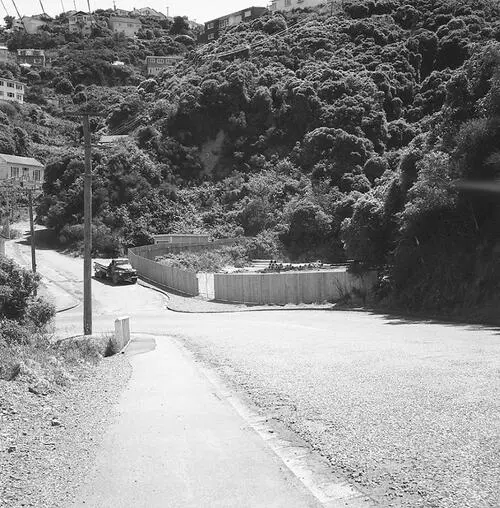 b. Waterworks Yard, Raroa Rd