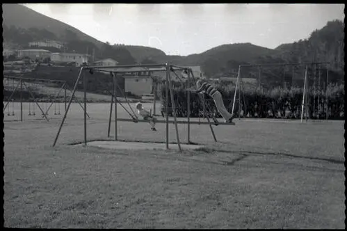 Karori Park playground, swings