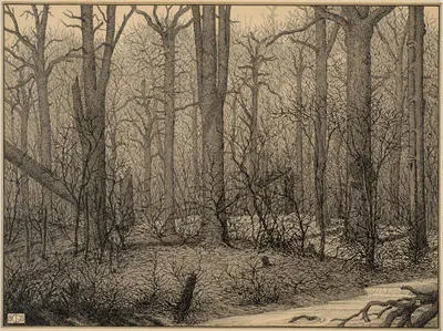 The Charred remains of the forest
