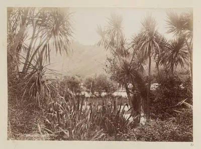 Near Taupiri, Waikato