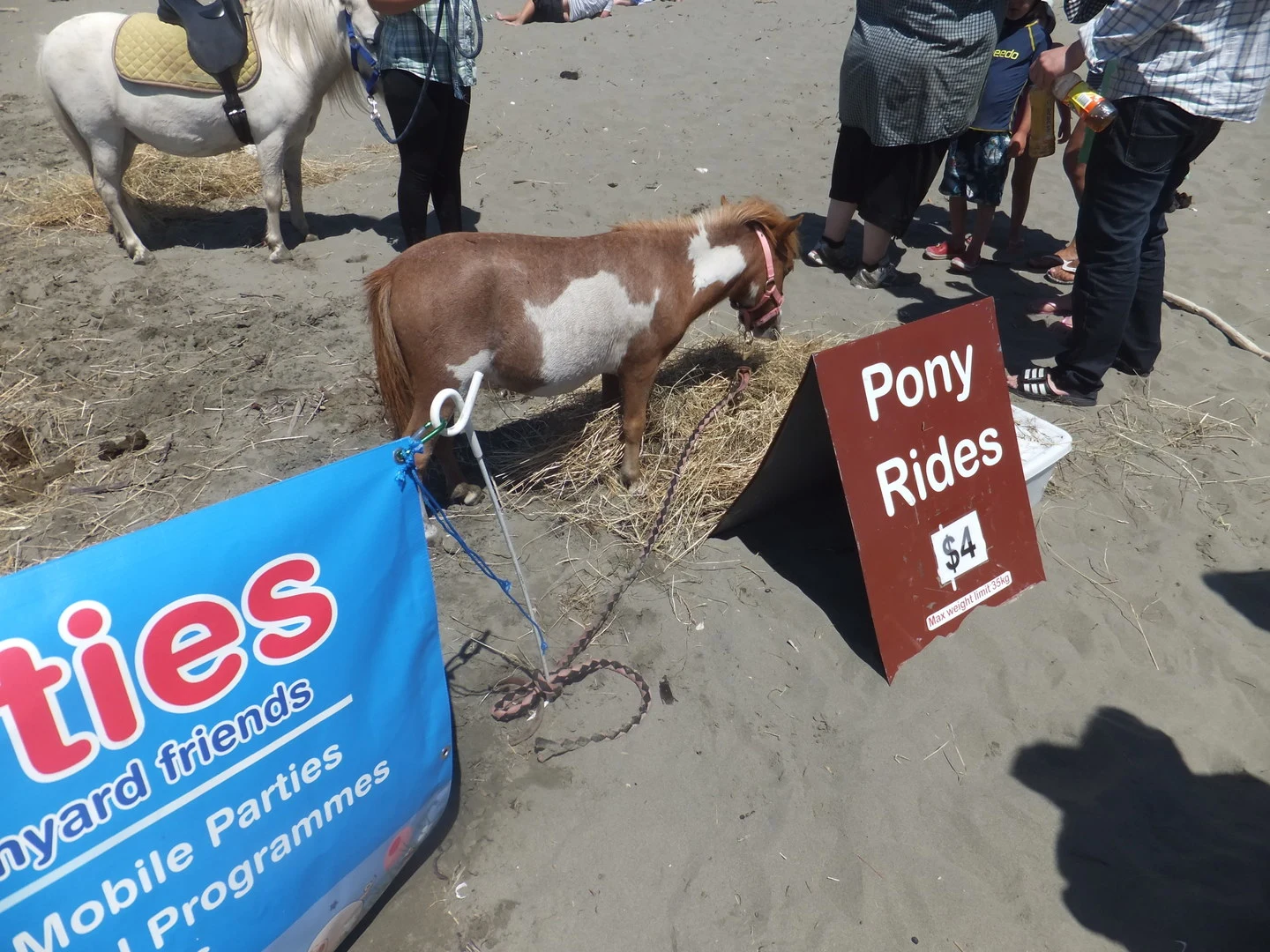Pony rides on New Brighton beach