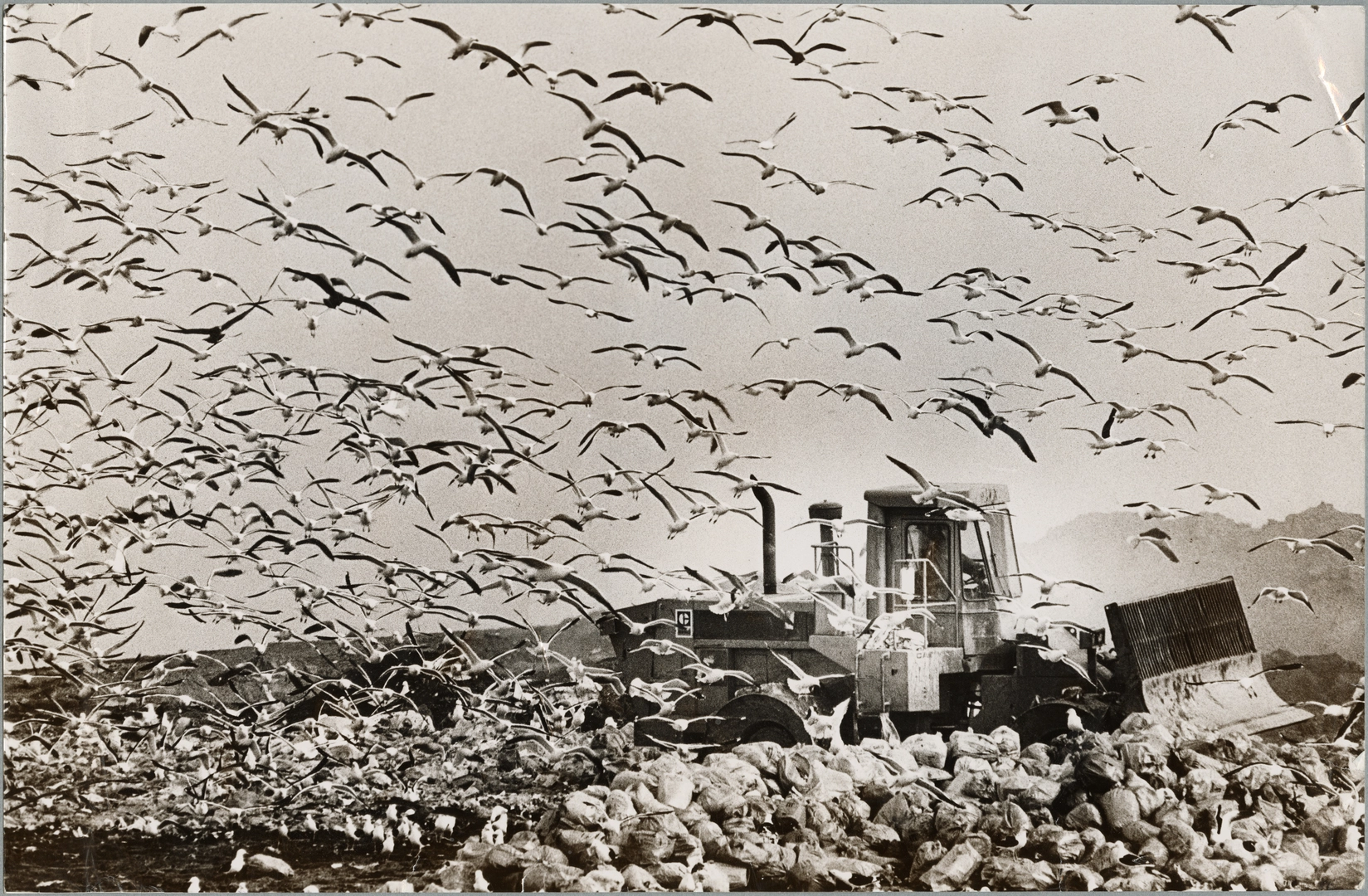 Bexley rubbish tip