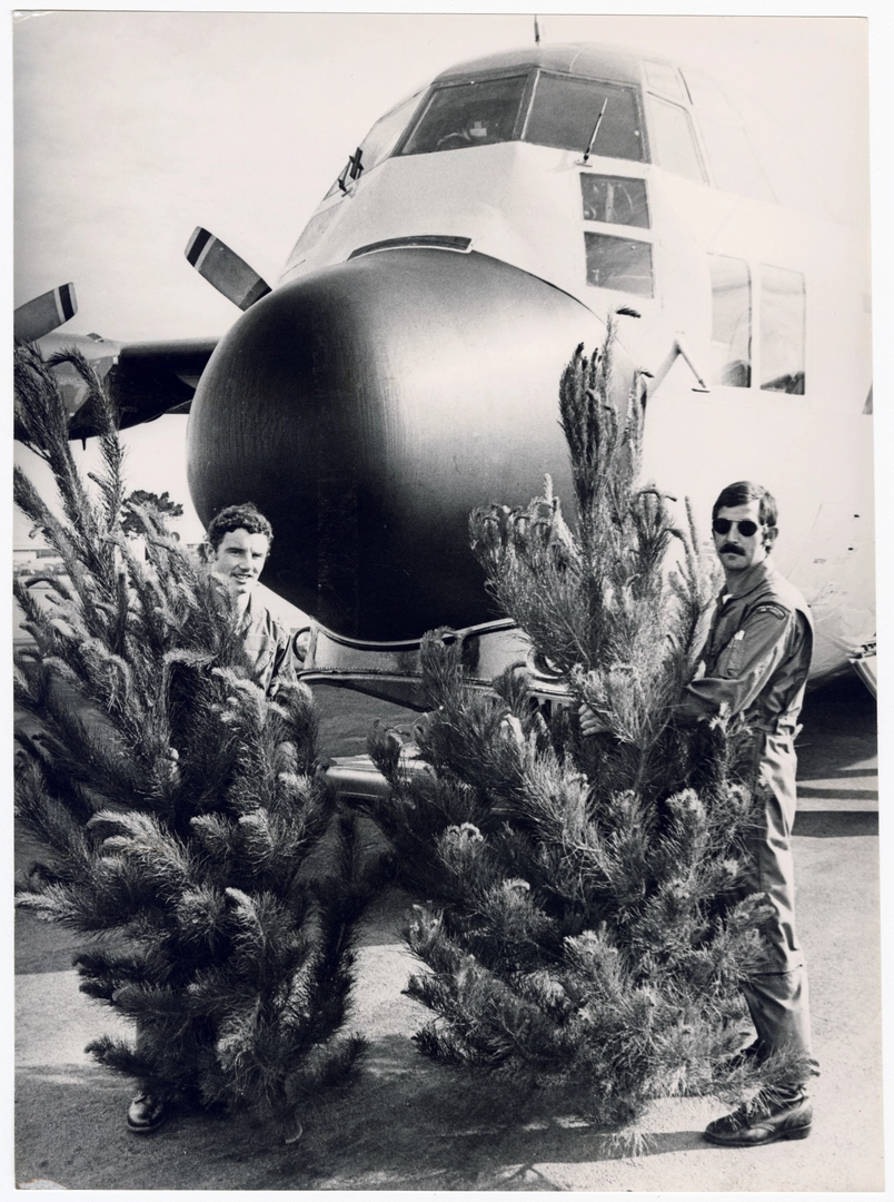 Christmas trees for Antarctica
