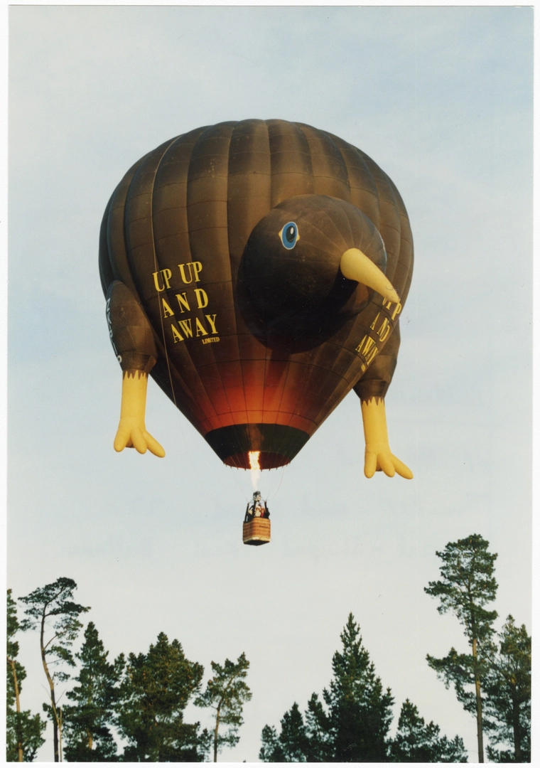 Kiwi bird hot air balloon