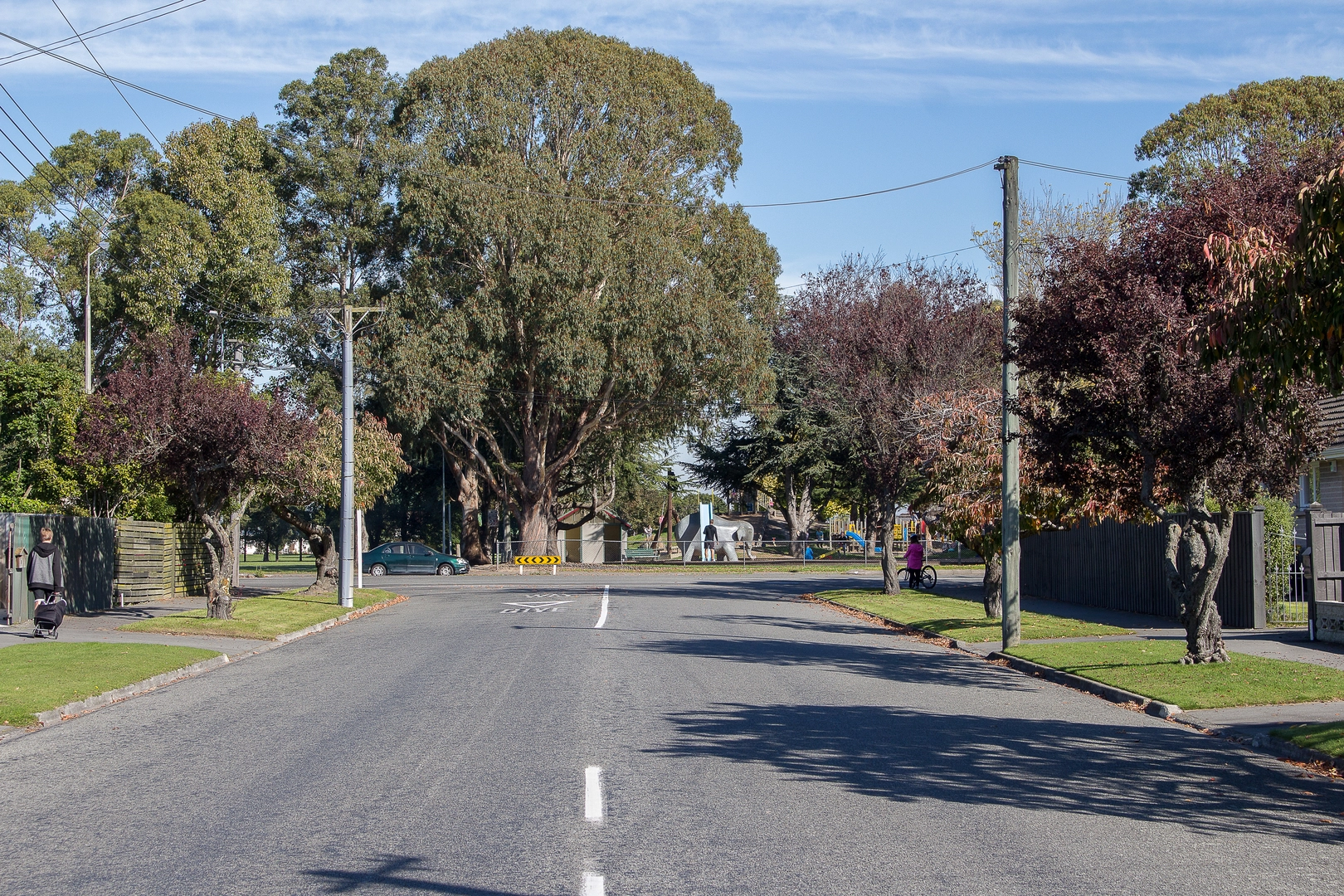 Cotswold Avenue towards Bishopdale Park