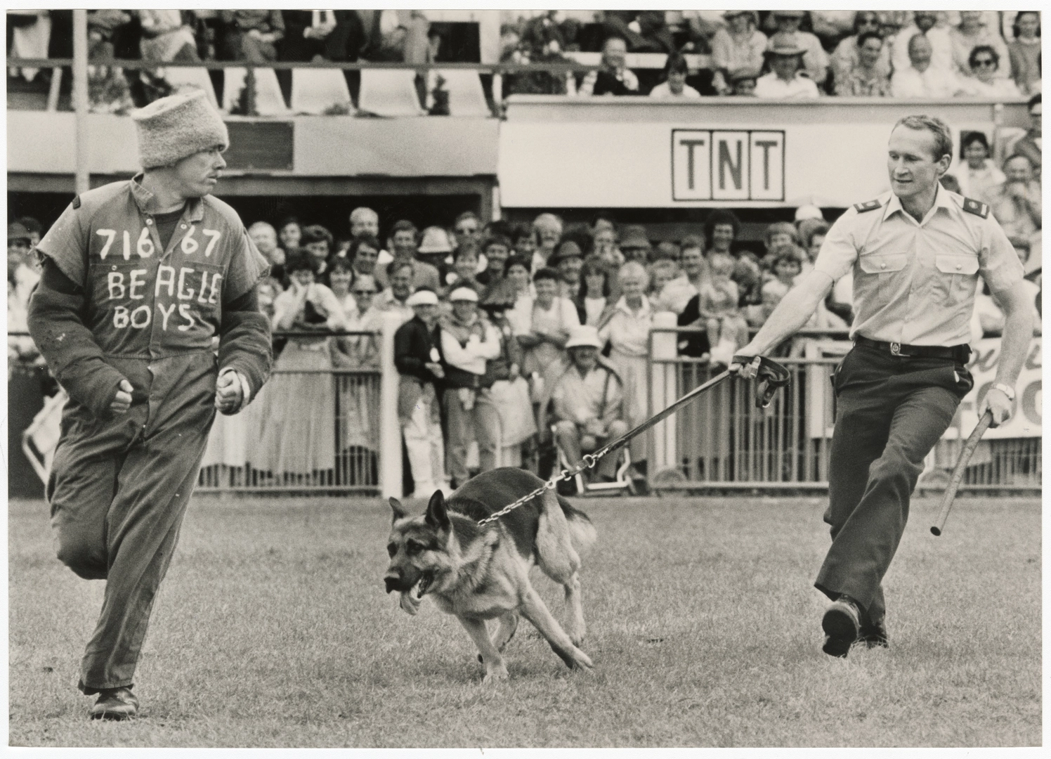 Police dog demonstration